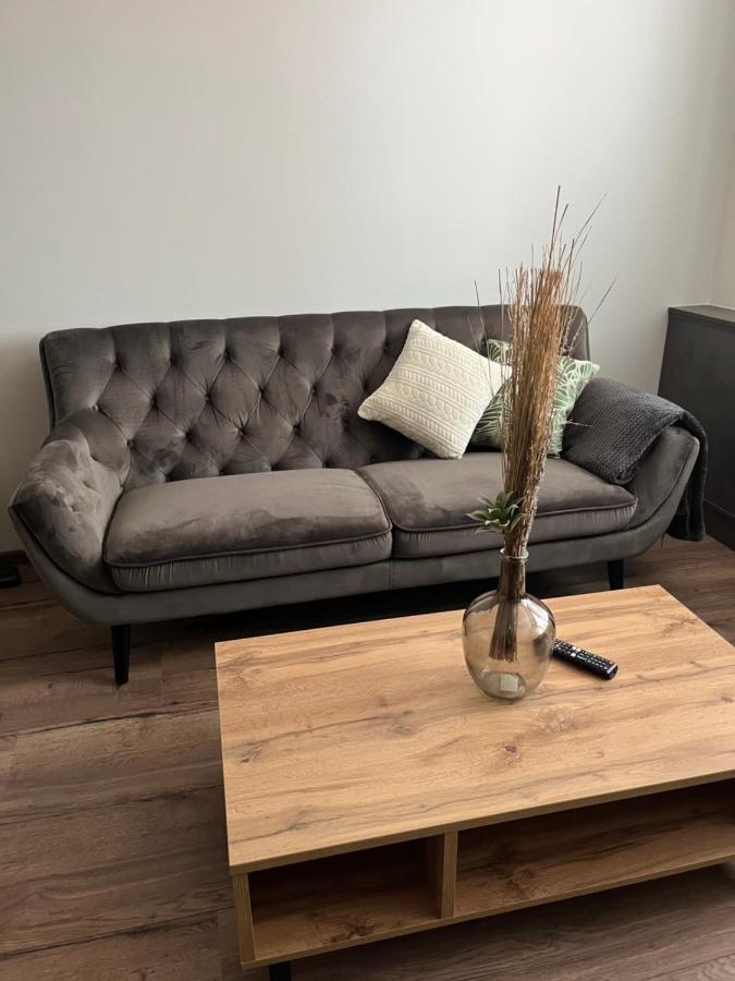 Luxusni Nove Zrekonstruovany Apartman 2Kk - 47M2 - Ostrava Centrum Εξωτερικό φωτογραφία